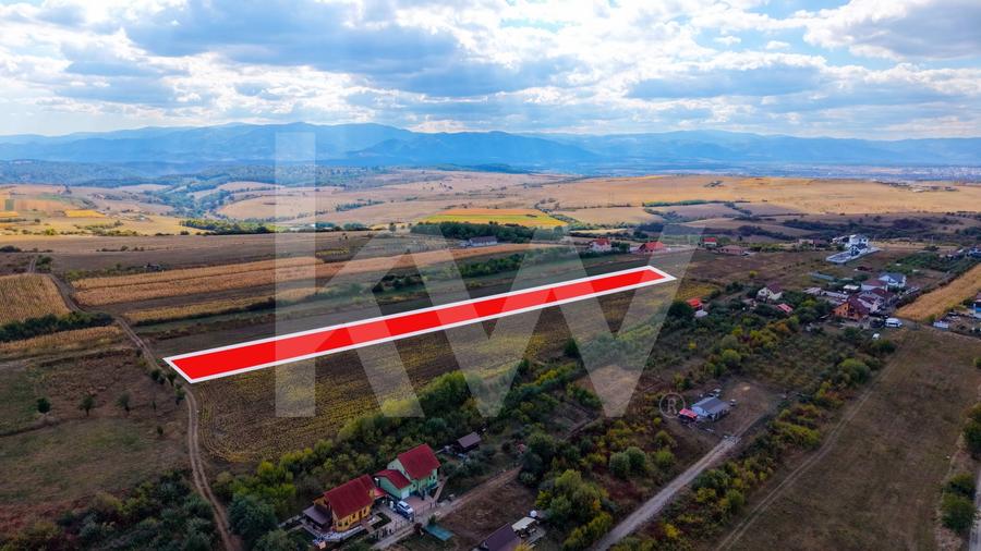 Teren agricol extravilan de 5000 mp, în Daia