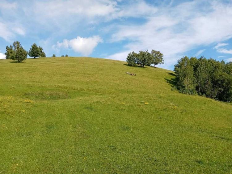 Teren de 22000 mp, în Luncani