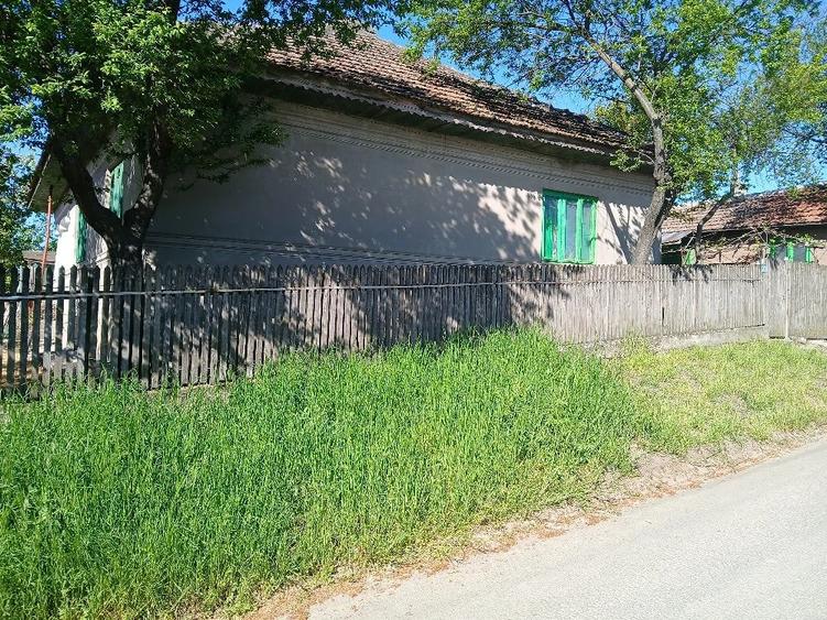 Casă cu Teren 800 Mp în Central