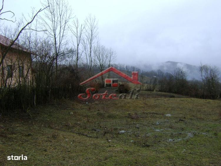 Teren de vanzare in Provita de jos - 3