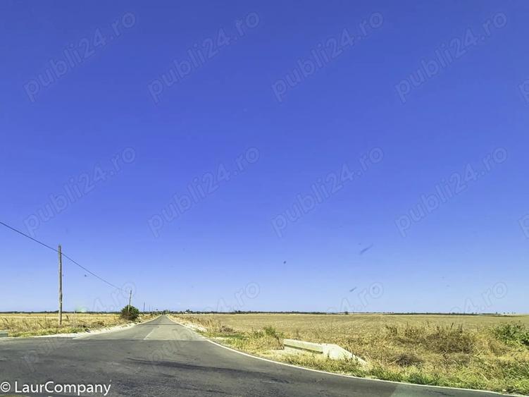 Teren de 120000 mp, în Teiu