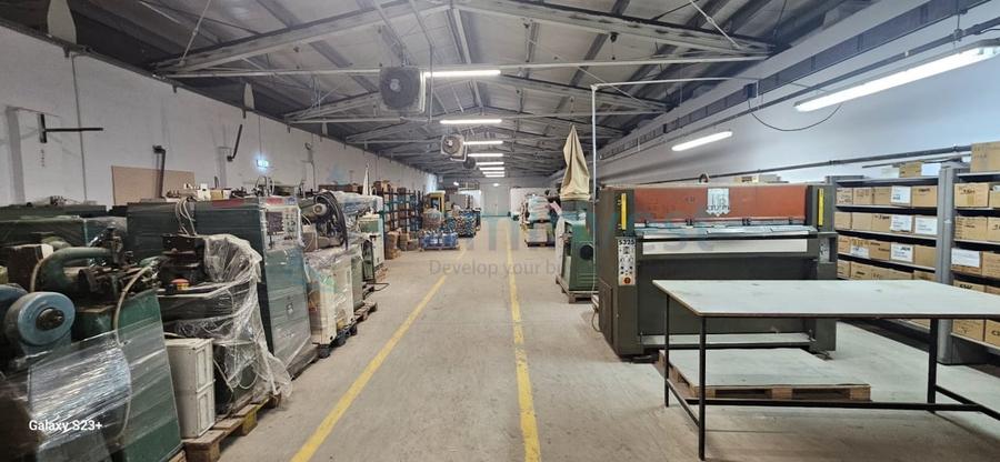 Spațiu industrial, de 2,196 mp, în Pecica