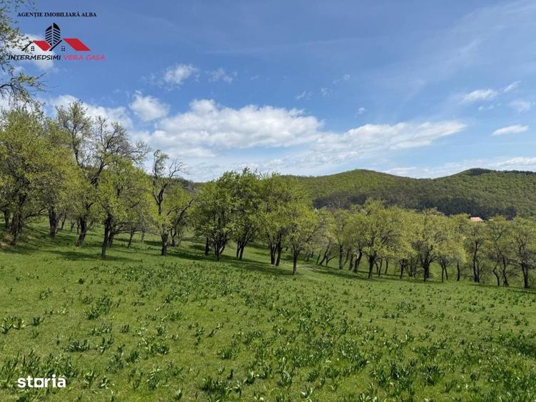 Spațiu comercial, în Valea Vințului