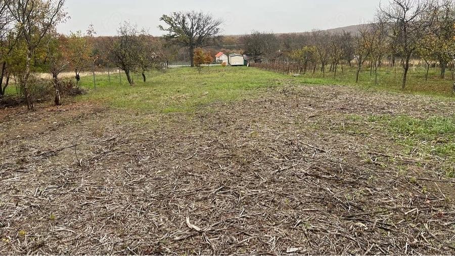 Teren de 6360 mp, în Central