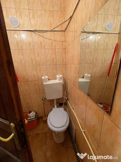 Garsonieră nedecomandată în Lotrului