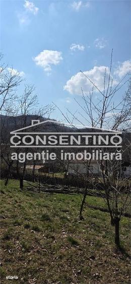 Casă cu 4 camere cu Teren 2200 Mp în Tisău