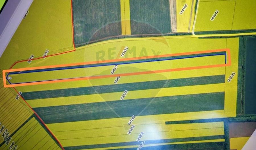 Teren agricol extravilan de 33750 mp, în Corbeanca