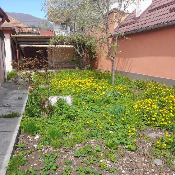 Vand casa Codlea - 16