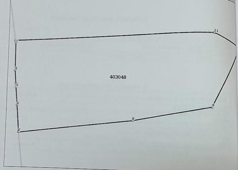 Teren intravilan Becicherecu Mic - 7