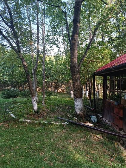 Casă cu 5 camere cu Teren 6500 Mp în Izvoarele