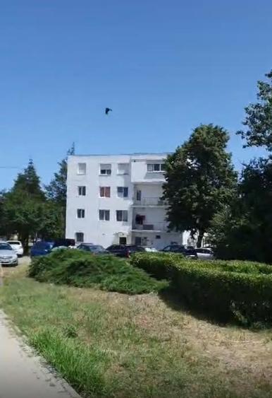 Garsoniera 25mp la Marea Neagră in Saturn, Mangalia, et 2/3 ,la 3 min de plaja - 13