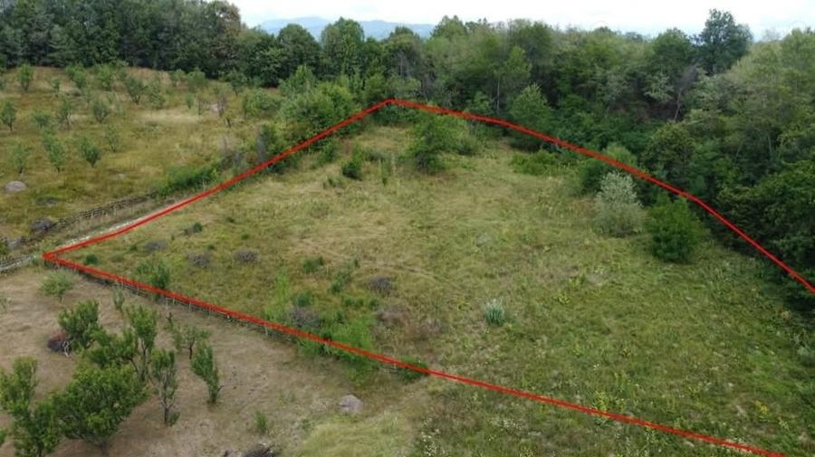 Teren de 5750 mp, în Central