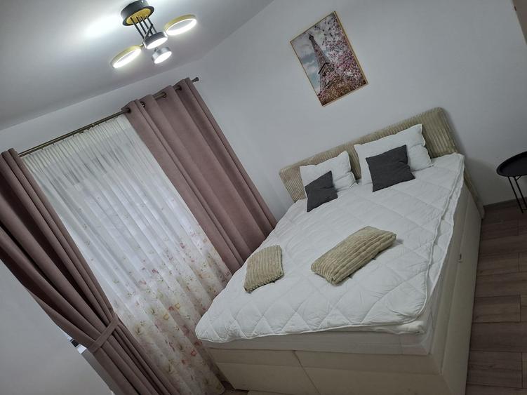 Apartament cu 2 camere nedecomandat în Teilor