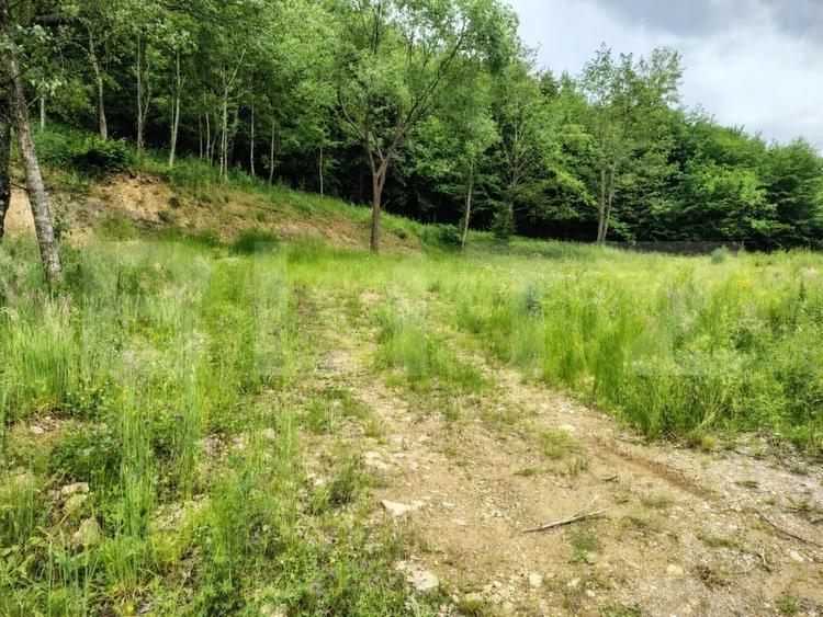 Teren Construcții extravilan de 1800 mp, în Someșu Rece