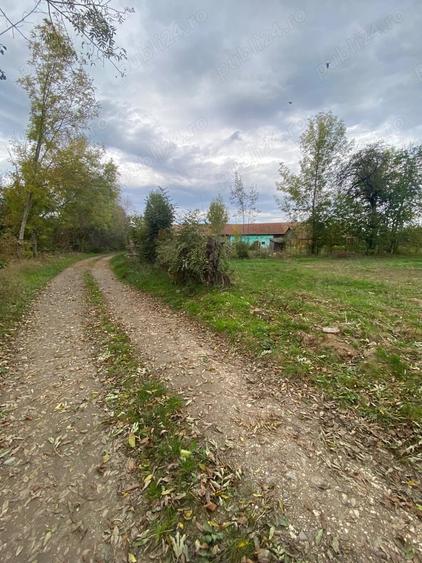 Teren de 2055 mp, în Sâmbăta de Sus