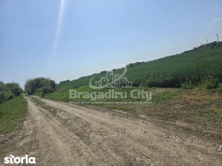 Teren Ordoreanu parcelat ideal investitie - 2