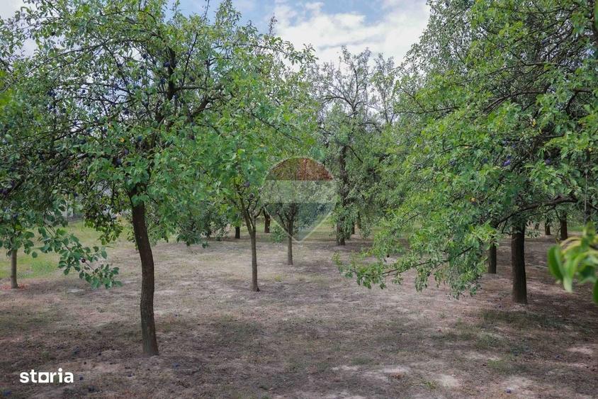 Casă cu 3 camere în Forosig