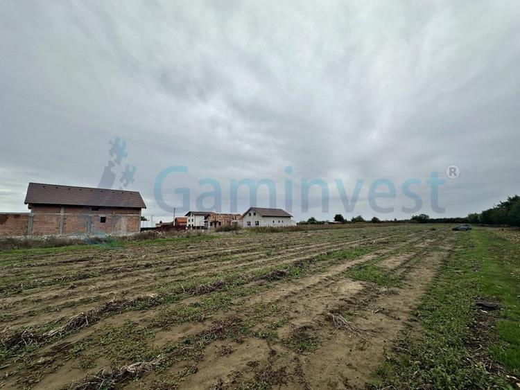 Teren Construcții intravilan de 11000 mp, în Biharia