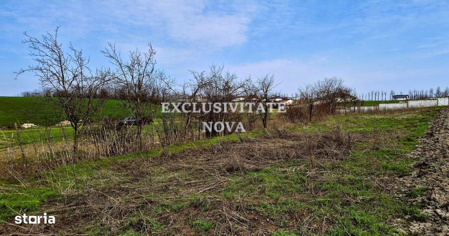 Teren de 5000 mp, în Găneasa