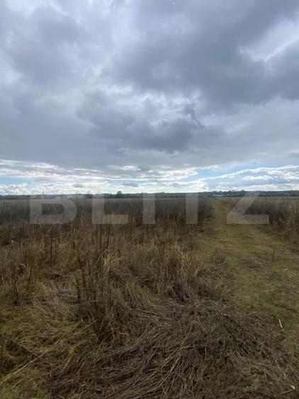 Teren agricol extravilan de 2500 mp, în Lucieni