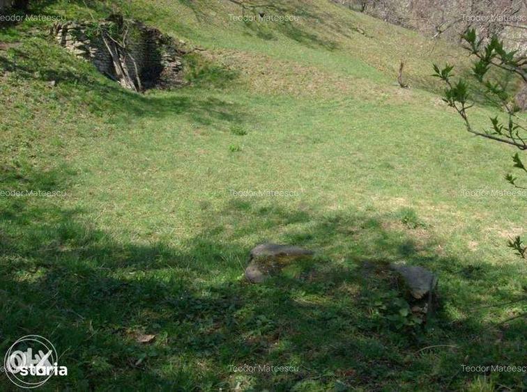 Teren de 3682 mp, în Măneciu