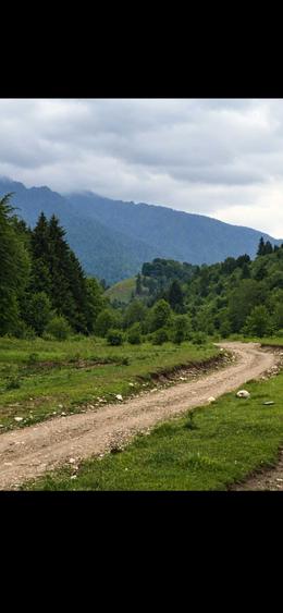 Spațiu comercial, în Bran