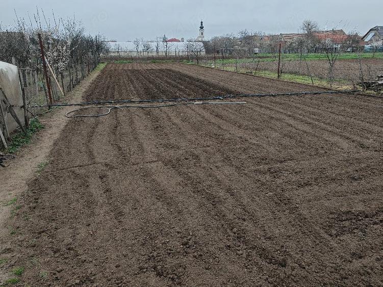 Casă cu 3 camere cu Teren 1439 Mp în Pesac