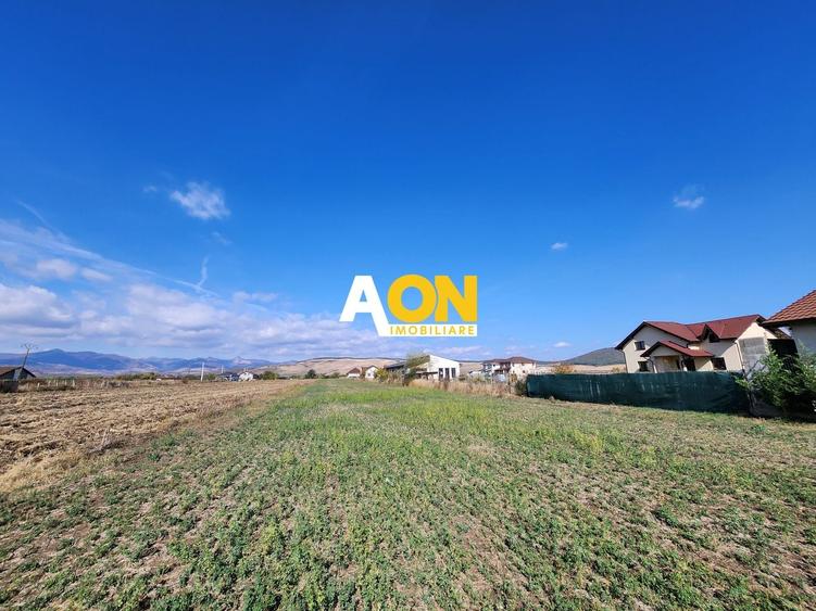 Teren Construcții intravilan de 6000 mp, în Micești