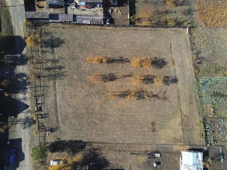 Teren intravilan 3000mp Loc. Sambateni Jud. Arad - 2