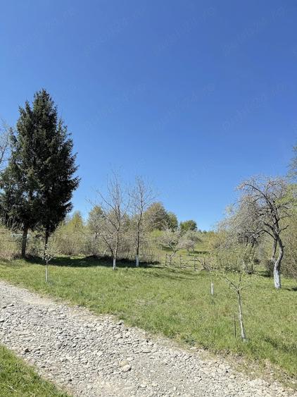 Teren de 4193 mp, în Breb