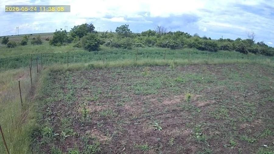 Teren de 1377 mp, în Popești