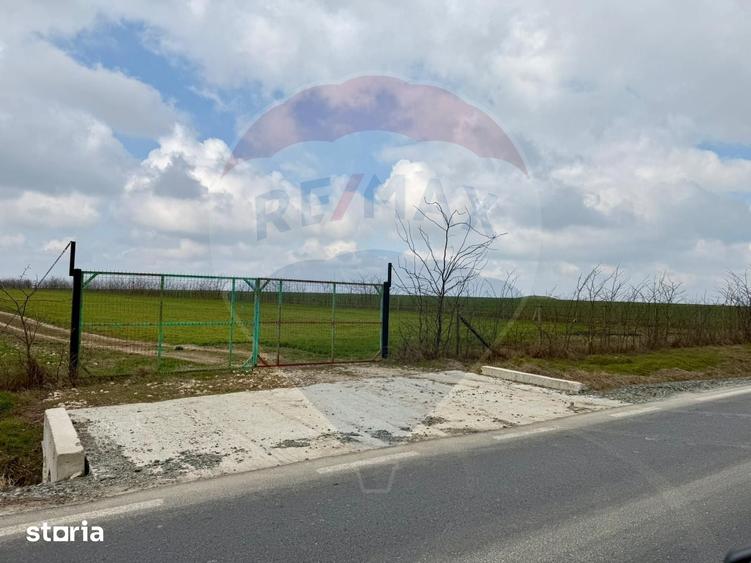 Teren de vanzare in Sacele ideal pentru silozuri, ferma 6 ha - 16