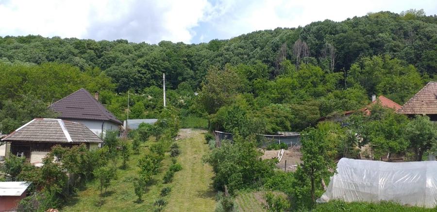 Casă individuală cu 5 camere cu Canalizare în Ocoliș