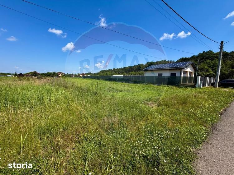 De vanzare Teren intravilan 1000 mp, langa padure, Moara Vlasiei - 9