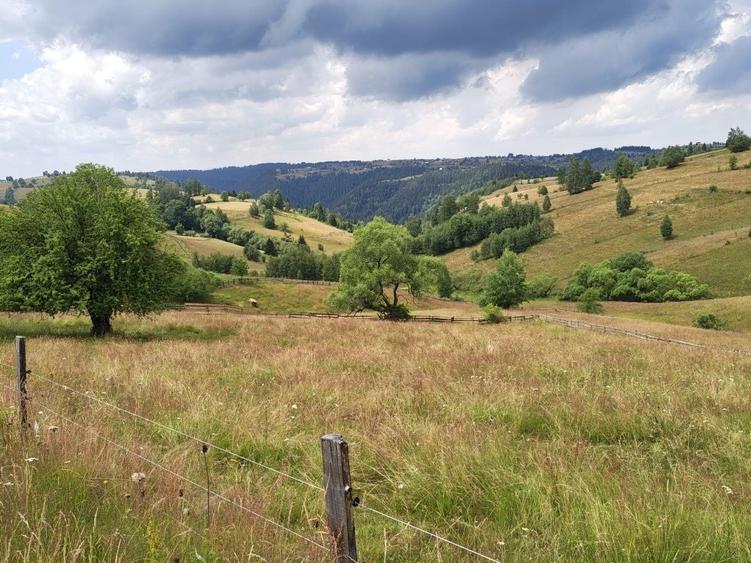 Teren de 4200 mp, în Măguri