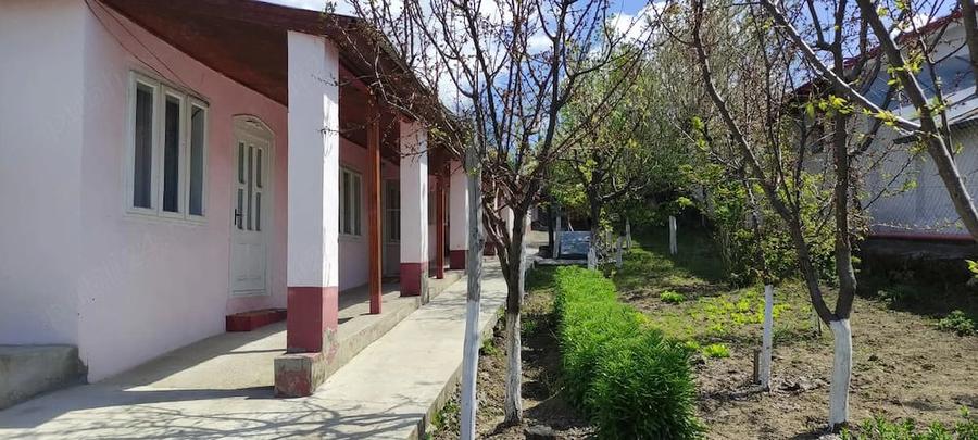 Casă cu 3 camere cu Teren 1000 Mp în Costache Negri