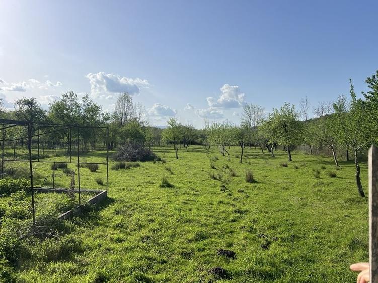 Casă cu 3 camere în Vărzari