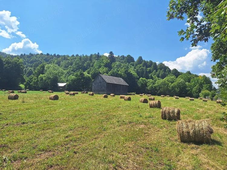 Teren de 18200 mp, în Tulgheș