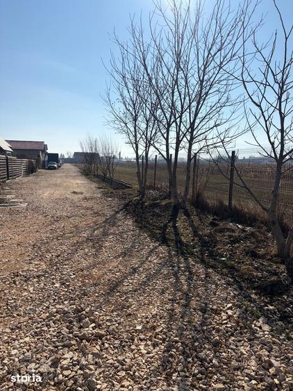 S.C. Vimak Imobiliare vinde teren intravilan Stupini - 6