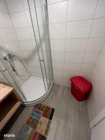Apartament cu 2 camere, mobilat în Copou