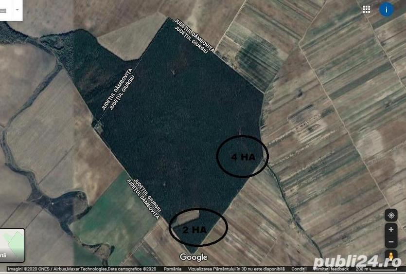 Teren de 6 mp, în Sadina