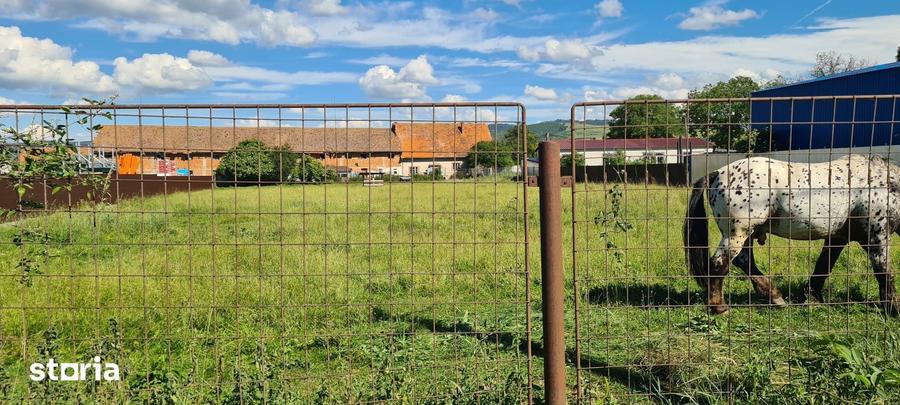 Teren comercial de vanzare, 4400 mp, acces asfaltat - 1