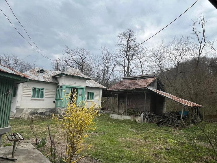Casă cu 4 camere cu Teren 5000 Mp în Roești