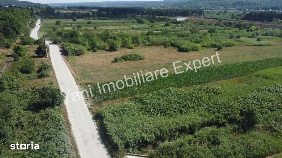 Teren de 8229 mp, în Băiculești