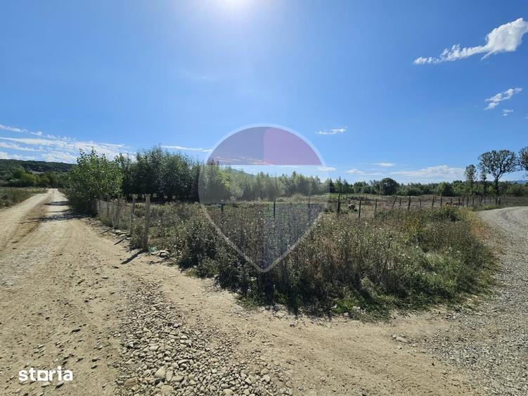 Teren de 3000 mp, în Bocicoiu Mare