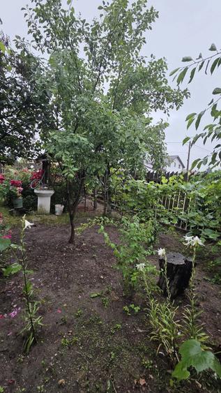 Casă cu Teren 475 Mp în Brezoaia