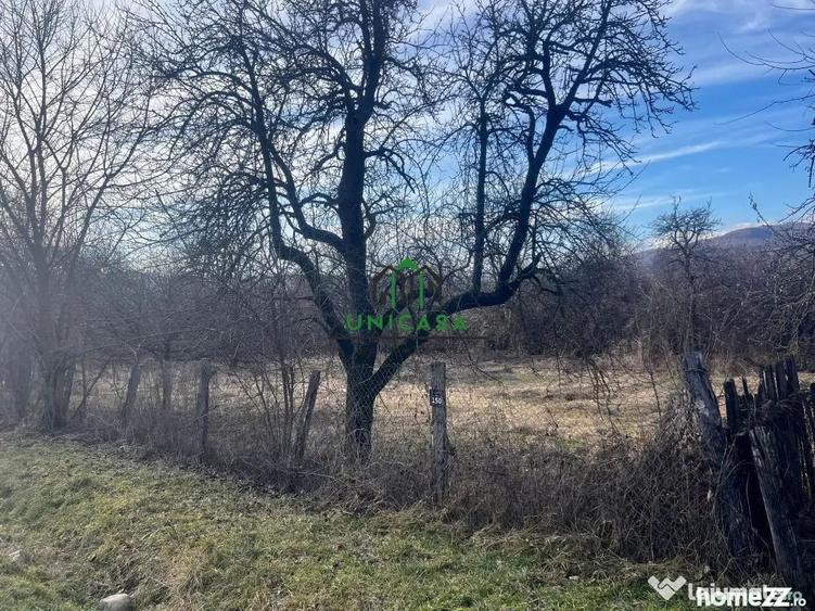 Teren de 813 mp, în Dăești