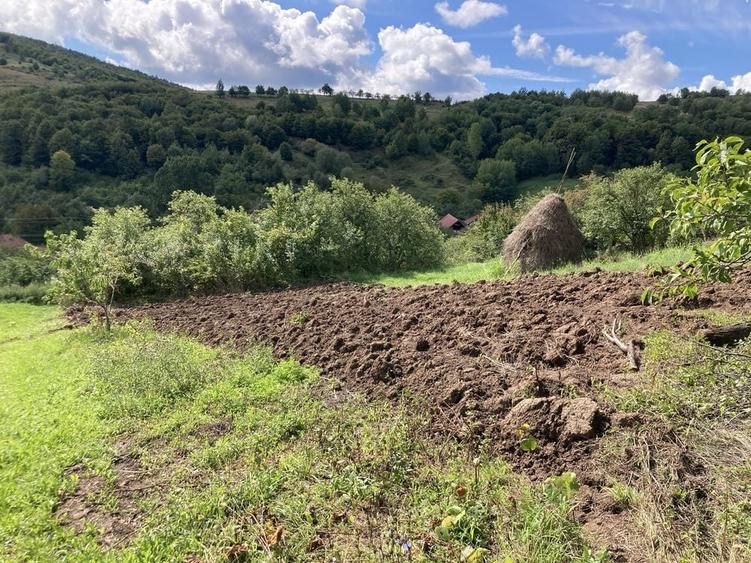 Teren de 1053 mp, în Ampoița