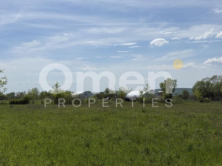 Teren Construcții intravilan de 1000 mp, în Bozânta Mică