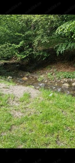 Teren de 4800 mp, în Căpâlna